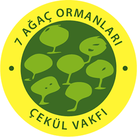 7 Ağaç Ormanları